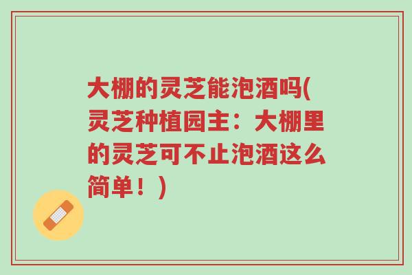 大棚的灵芝能泡酒吗(灵芝种植园主：大棚里的灵芝可不止泡酒这么简单！)-第1张图片-超越