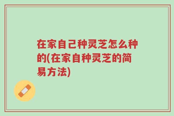 在家自己种灵芝怎么种的(在家自种灵芝的简易方法)-第1张图片-超越 在家自己种灵芝怎么种的(在家自种灵芝的简易方法)-第1张图片-超越