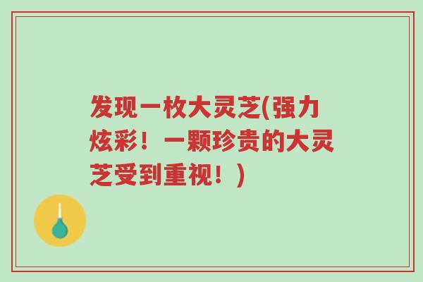 发现一枚大灵芝(强力炫彩!一颗珍贵的大灵芝受到重视!)-第1张图片-超越 发现一枚大灵芝(强力炫彩!一颗珍贵的大灵芝受到重视!)-第1张图片-超越
