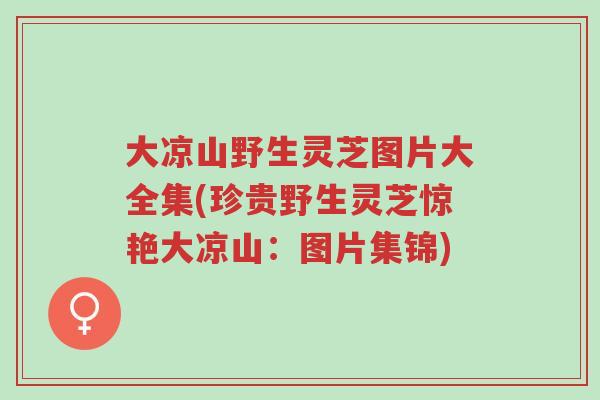 大凉山野生灵芝图片大全集(珍贵野生灵芝惊艳大凉山：图片集锦)-第1张图片-超越