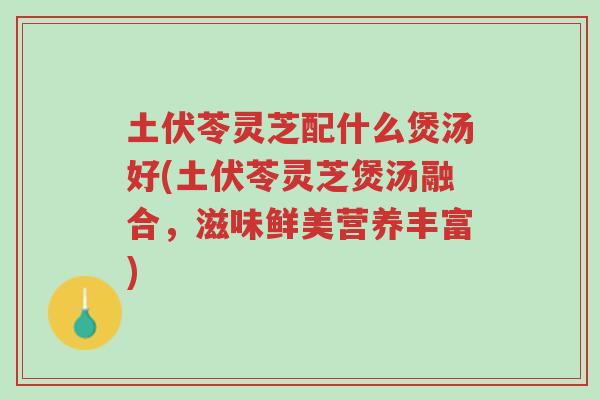 土伏苓灵芝配什么煲汤好(土伏苓灵芝煲汤融合,滋味鲜美营养丰富)-第1张图片-超越 土伏苓灵芝配什么煲汤好(土伏苓灵芝煲汤融合,滋味鲜美营养丰富)-第1张图片-超越
