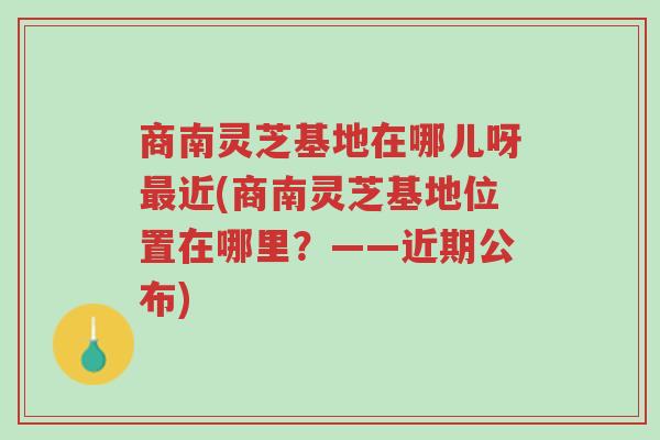 商南灵芝基地在哪儿呀最近(商南灵芝基地位置在哪里?——近期公布)-第1张图片-超越 商南灵芝基地在哪儿呀最近(商南灵芝基地位置在哪里?——近期公布)-第1张图片-超越