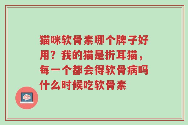 猫咪软骨素哪个牌子好用?我的猫是折耳猫,每一个都会得软骨病吗什么时候吃软骨素-第1张图片-超越 猫咪软骨素哪个牌子好用?我的猫是折耳猫,每一个都会得软骨病吗什么时候吃软骨素-第1张图片-超越