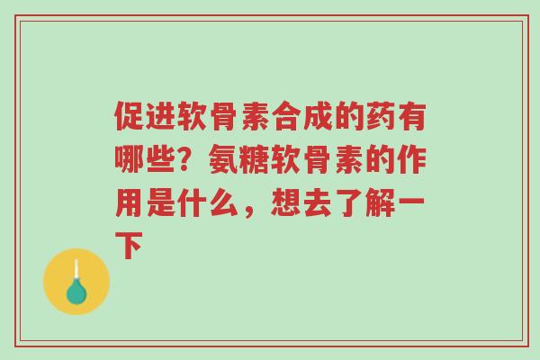 促进软骨素合成的药有哪些?氨糖软骨素的作用是什么,想去了解一下-第1张图片-超越 促进软骨素合成的药有哪些?氨糖软骨素的作用是什么,想去了解一下-第1张图片-超越