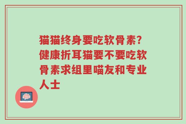 猫猫终身要吃软骨素?健康折耳猫要不要吃软骨素求组里喵友和专业人士-第1张图片-超越 猫猫终身要吃软骨素?健康折耳猫要不要吃软骨素求组里喵友和专业人士-第1张图片-超越