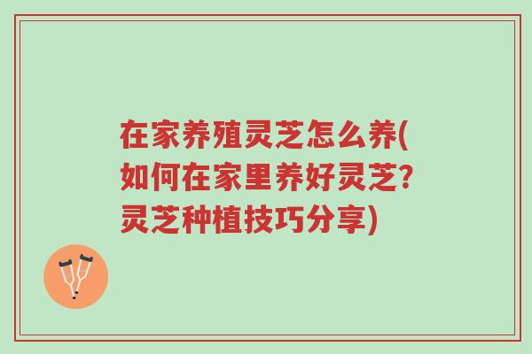 在家养殖灵芝怎么养(如何在家里养好灵芝?灵芝种植技巧分享)-第1张图片-超越 在家养殖灵芝怎么养(如何在家里养好灵芝?灵芝种植技巧分享)-第1张图片-超越