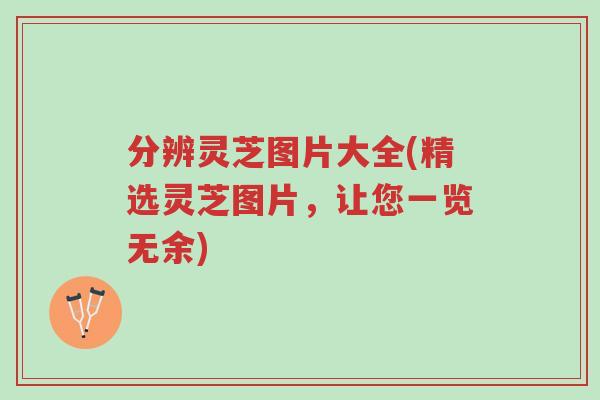 分辨灵芝图片大全(精选灵芝图片,让您一览无余)-第1张图片-超越 分辨灵芝图片大全(精选灵芝图片,让您一览无余)-第1张图片-超越