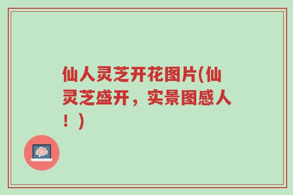 仙人灵芝开花图片(仙灵芝盛开,实景图感人!)-第1张图片-超越 仙人灵芝开花图片(仙灵芝盛开,实景图感人!)-第1张图片-超越