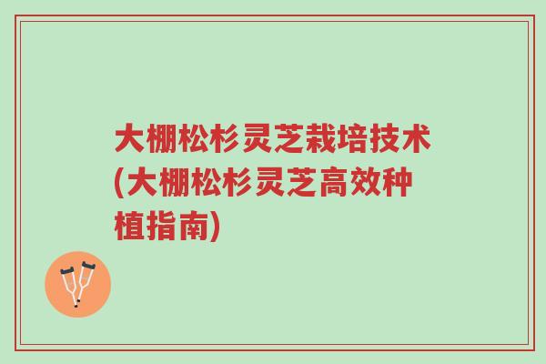 大棚松杉灵芝栽培技术(大棚松杉灵芝高效种植指南)-第1张图片-超越