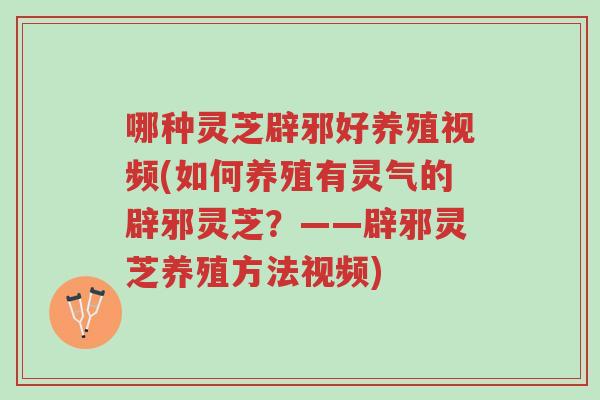 哪种灵芝辟邪好养殖视频(如何养殖有灵气的辟邪灵芝?——辟邪灵芝养殖方法视频)-第1张图片-超越 哪种灵芝辟邪好养殖视频(如何养殖有灵气的辟邪灵芝?——辟邪灵芝养殖方法视频)-第1张图片-超越