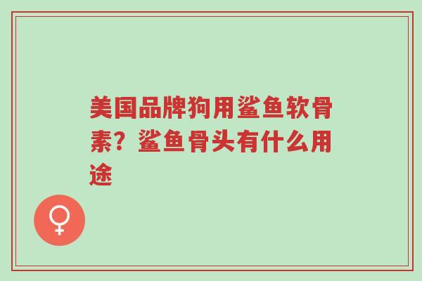美国品牌狗用鲨鱼软骨素?鲨鱼骨头有什么用途-第1张图片-超越 美国品牌狗用鲨鱼软骨素?鲨鱼骨头有什么用途-第1张图片-超越