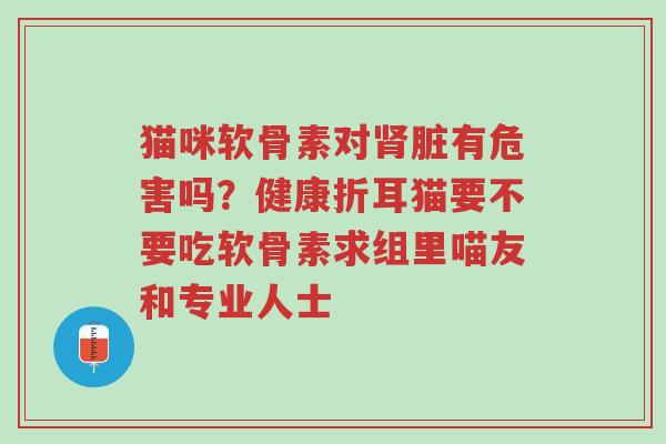 猫咪软骨素对肾脏有危害吗?健康折耳猫要不要吃软骨素求组里喵友和专业人士-第1张图片-超越 猫咪软骨素对肾脏有危害吗?健康折耳猫要不要吃软骨素求组里喵友和专业人士-第1张图片-超越