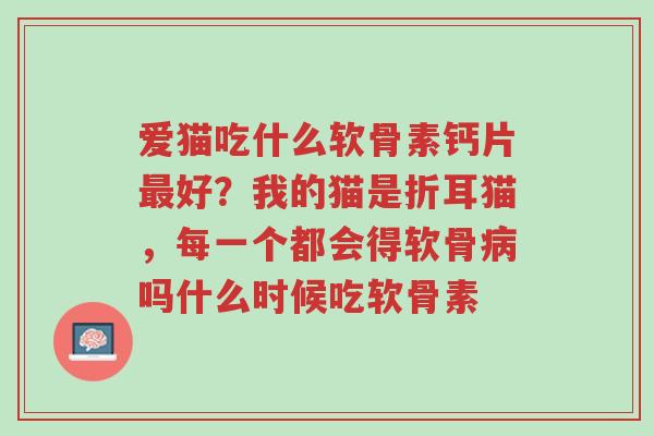 爱猫吃什么软骨素钙片最好？我的猫是折耳猫，每一个都会得软骨病吗什么时候吃软骨素-第1张图片-超越