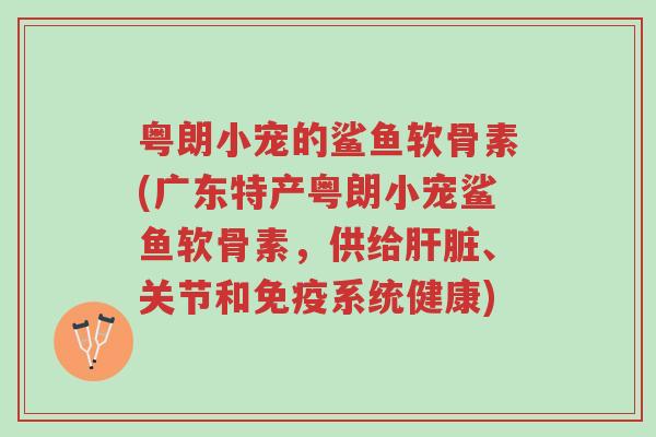 粤朗小宠的鲨鱼软骨素(广东特产粤朗小宠鲨鱼软骨素,供给肝脏、关节和免疫系统健康)-第1张图片-超越 粤朗小宠的鲨鱼软骨素(广东特产粤朗小宠鲨鱼软骨素,供给肝脏、关节和免疫系统健康)-第1张图片-超越