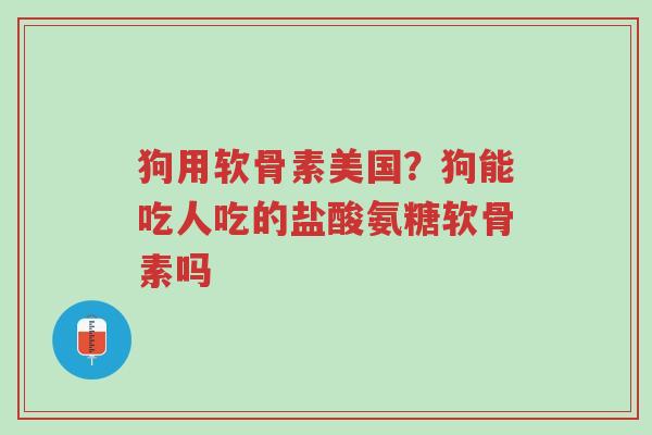 狗用软骨素美国?狗能吃人吃的盐酸氨糖软骨素吗-第1张图片-超越 狗用软骨素美国?狗能吃人吃的盐酸氨糖软骨素吗-第1张图片-超越