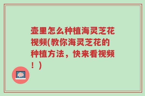 壶里怎么种植海灵芝花视频(教你海灵芝花的种植方法,快来看视频!)-第1张图片-超越 壶里怎么种植海灵芝花视频(教你海灵芝花的种植方法,快来看视频!)-第1张图片-超越