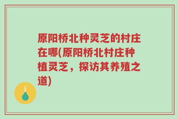 原阳桥北种灵芝的村庄在哪(原阳桥北村庄种植灵芝，探访其养殖之道)-第1张图片-超越