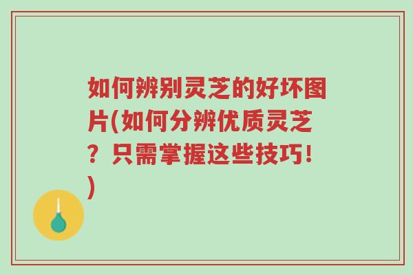 如何辨别灵芝的好坏图片(如何分辨优质灵芝?只需掌握这些技巧!)-第1张图片-超越 如何辨别灵芝的好坏图片(如何分辨优质灵芝?只需掌握这些技巧!)-第1张图片-超越