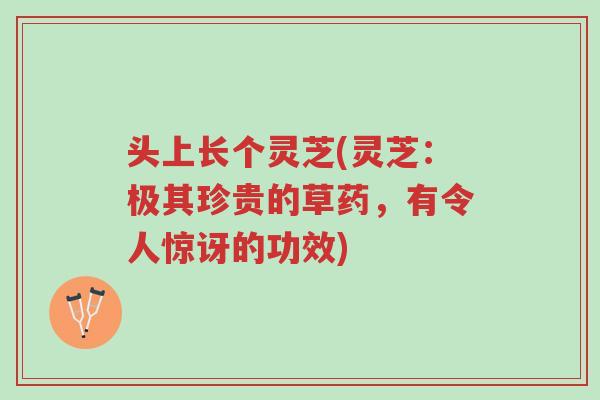 头上长个灵芝(灵芝:极其珍贵的草药,有令人惊讶的功效)-第1张图片-超越 头上长个灵芝(灵芝:极其珍贵的草药,有令人惊讶的功效)-第1张图片-超越