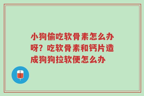 小狗偷吃软骨素怎么办呀?吃软骨素和钙片造成狗狗拉软便怎么办-第1张图片-超越 小狗偷吃软骨素怎么办呀?吃软骨素和钙片造成狗狗拉软便怎么办-第1张图片-超越