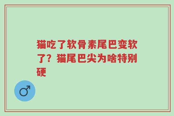 猫吃了软骨素尾巴变软了?猫尾巴尖为啥特别硬-第1张图片-超越 猫吃了软骨素尾巴变软了?猫尾巴尖为啥特别硬-第1张图片-超越