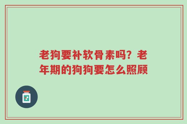 老狗要补软骨素吗?老年期的狗狗要怎么照顾-第1张图片-超越 老狗要补软骨素吗?老年期的狗狗要怎么照顾-第1张图片-超越