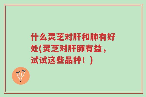 什么灵芝对肝和肺有好处(灵芝对肝肺有益,试试这些品种!)-第1张图片-超越 什么灵芝对肝和肺有好处(灵芝对肝肺有益,试试这些品种!)-第1张图片-超越