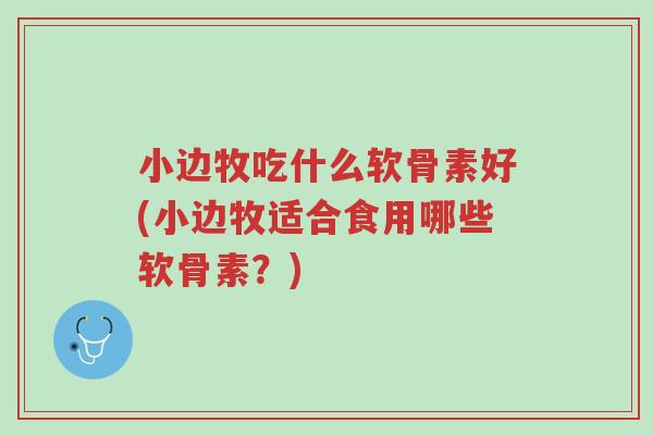 小边牧吃什么软骨素好(小边牧适合食用哪些软骨素?)-第1张图片-超越 小边牧吃什么软骨素好(小边牧适合食用哪些软骨素?)-第1张图片-超越