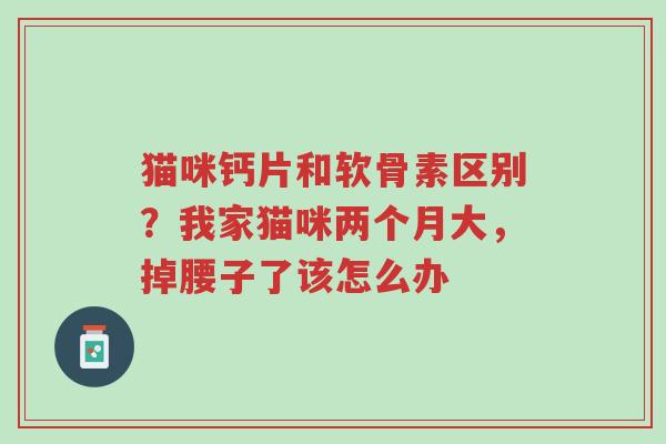 猫咪钙片和软骨素区别?我家猫咪两个月大,掉腰子了该怎么办-第1张图片-超越 猫咪钙片和软骨素区别?我家猫咪两个月大,掉腰子了该怎么办-第1张图片-超越