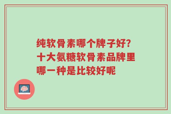 纯软骨素哪个牌子好?十大氨糖软骨素品牌里哪一种是比较好呢-第1张图片-超越 纯软骨素哪个牌子好?十大氨糖软骨素品牌里哪一种是比较好呢-第1张图片-超越