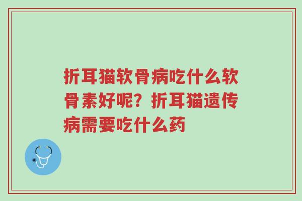 折耳猫软骨病吃什么软骨素好呢?折耳猫遗传病需要吃什么药-第1张图片-超越 折耳猫软骨病吃什么软骨素好呢?折耳猫遗传病需要吃什么药-第1张图片-超越