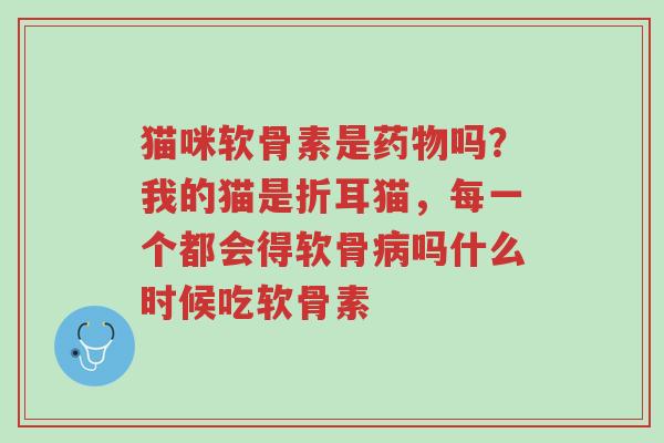 猫咪软骨素是药物吗?我的猫是折耳猫,每一个都会得软骨病吗什么时候吃软骨素-第1张图片-超越 猫咪软骨素是药物吗?我的猫是折耳猫,每一个都会得软骨病吗什么时候吃软骨素-第1张图片-超越