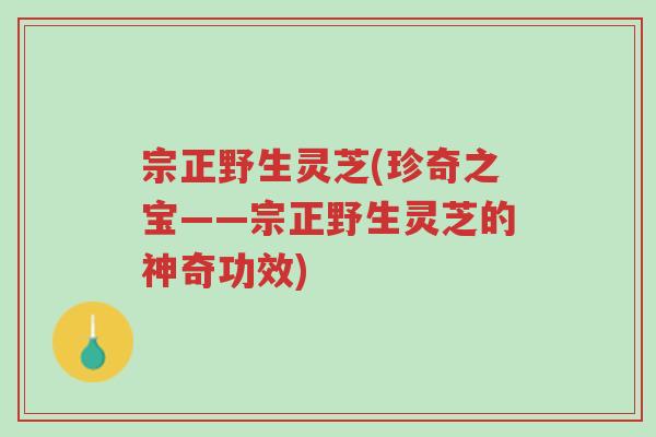 宗正野生灵芝(珍奇之宝——宗正野生灵芝的神奇功效)-第1张图片-超越 宗正野生灵芝(珍奇之宝——宗正野生灵芝的神奇功效)-第1张图片-超越
