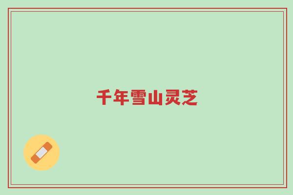 千年雪山灵芝-第1张图片-超越 千年雪山灵芝-第1张图片-超越