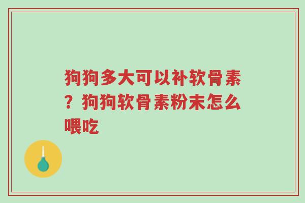 狗狗多大可以补软骨素?狗狗软骨素粉末怎么喂吃-第1张图片-超越 狗狗多大可以补软骨素?狗狗软骨素粉末怎么喂吃-第1张图片-超越