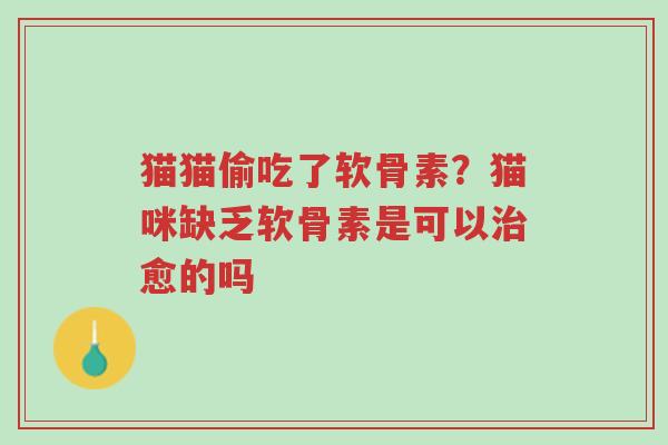 猫猫偷吃了软骨素?猫咪缺乏软骨素是可以治愈的吗-第1张图片-超越 猫猫偷吃了软骨素?猫咪缺乏软骨素是可以治愈的吗-第1张图片-超越