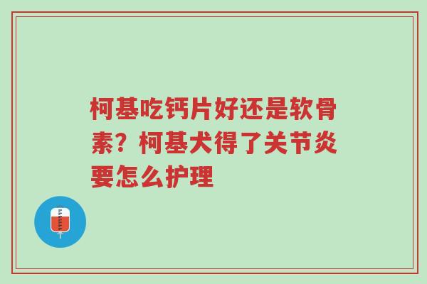 柯基吃钙片好还是软骨素?柯基犬得了关节炎要怎么护理-第1张图片-超越 柯基吃钙片好还是软骨素?柯基犬得了关节炎要怎么护理-第1张图片-超越