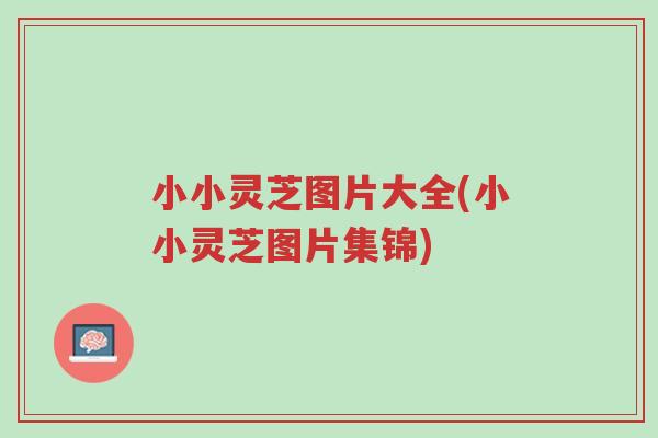 小小灵芝图片大全(小小灵芝图片集锦)-第1张图片-超越 小小灵芝图片大全(小小灵芝图片集锦)-第1张图片-超越