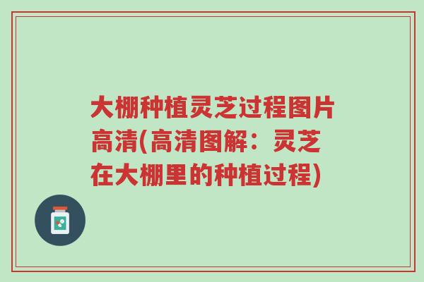 大棚种植灵芝过程图片高清(高清图解:灵芝在大棚里的种植过程)-第1张图片-超越 大棚种植灵芝过程图片高清(高清图解:灵芝在大棚里的种植过程)-第1张图片-超越