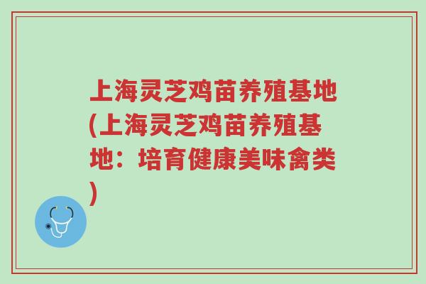 上海灵芝鸡苗养殖基地(上海灵芝鸡苗养殖基地：培育健康美味禽类)-第1张图片-超越