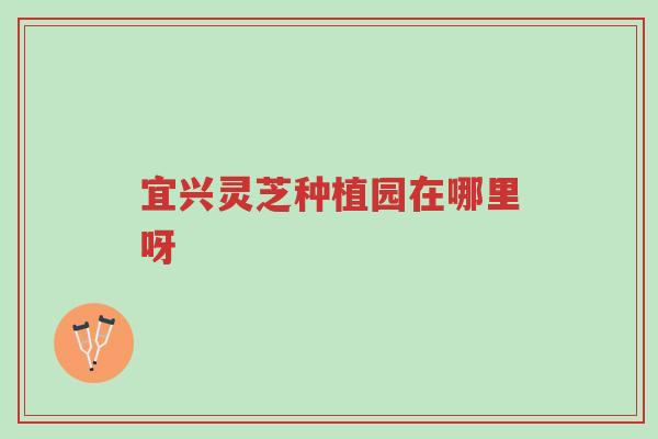 宜兴灵芝种植园在哪里呀-第1张图片-超越 宜兴灵芝种植园在哪里呀-第1张图片-超越