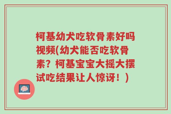 柯基幼犬吃软骨素好吗视频(幼犬能否吃软骨素?柯基宝宝大摇大摆试吃结果让人惊讶!)-第1张图片-超越 柯基幼犬吃软骨素好吗视频(幼犬能否吃软骨素?柯基宝宝大摇大摆试吃结果让人惊讶!)-第1张图片-超越