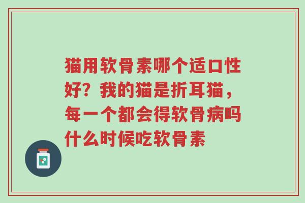 猫用软骨素哪个适口性好?我的猫是折耳猫,每一个都会得软骨病吗什么时候吃软骨素-第1张图片-超越 猫用软骨素哪个适口性好?我的猫是折耳猫,每一个都会得软骨病吗什么时候吃软骨素-第1张图片-超越