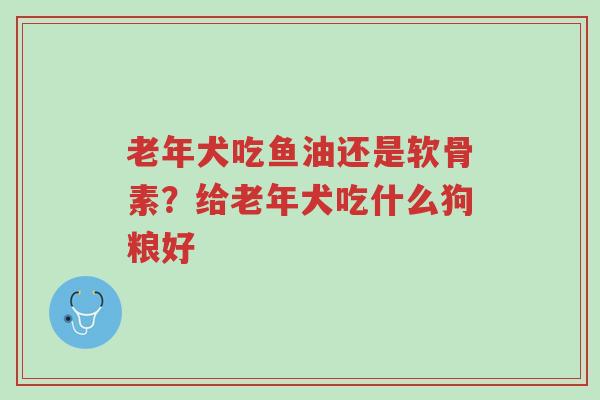 老年犬吃鱼油还是软骨素?给老年犬吃什么狗粮好-第1张图片-超越 老年犬吃鱼油还是软骨素?给老年犬吃什么狗粮好-第1张图片-超越