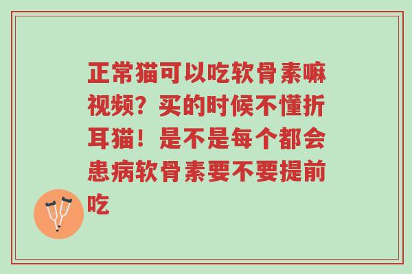 正常猫可以吃软骨素嘛视频?买的时候不懂折耳猫!是不是每个都会患病软骨素要不要提前吃-第1张图片-超越 正常猫可以吃软骨素嘛视频?买的时候不懂折耳猫!是不是每个都会患病软骨素要不要提前吃-第1张图片-超越