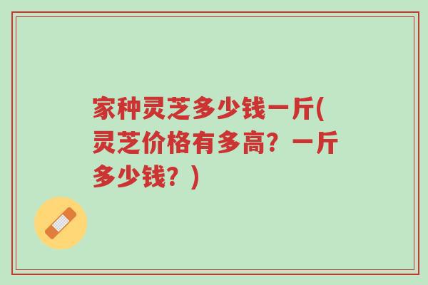 家种灵芝多少钱一斤(灵芝价格有多高?一斤多少钱?)-第1张图片-超越 家种灵芝多少钱一斤(灵芝价格有多高?一斤多少钱?)-第1张图片-超越