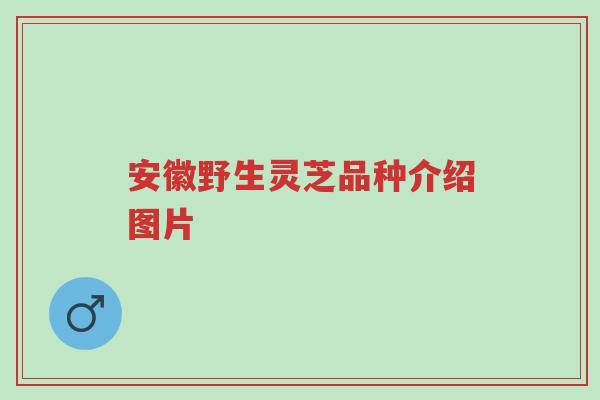 安徽野生灵芝品种介绍图片-第1张图片-超越 安徽野生灵芝品种介绍图片-第1张图片-超越