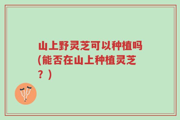 山上野灵芝可以种植吗(能否在山上种植灵芝?)-第1张图片-超越 山上野灵芝可以种植吗(能否在山上种植灵芝?)-第1张图片-超越