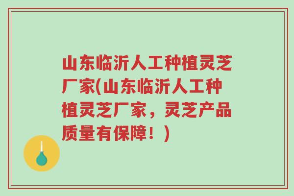 山东临沂人工种植灵芝厂家(山东临沂人工种植灵芝厂家,灵芝产品质量有保障!)-第1张图片-超越 山东临沂人工种植灵芝厂家(山东临沂人工种植灵芝厂家,灵芝产品质量有保障!)-第1张图片-超越