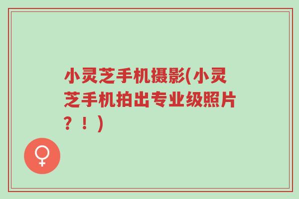 小灵芝手机摄影(小灵芝手机拍出专业级照片?!)-第1张图片-超越 小灵芝手机摄影(小灵芝手机拍出专业级照片?!)-第1张图片-超越